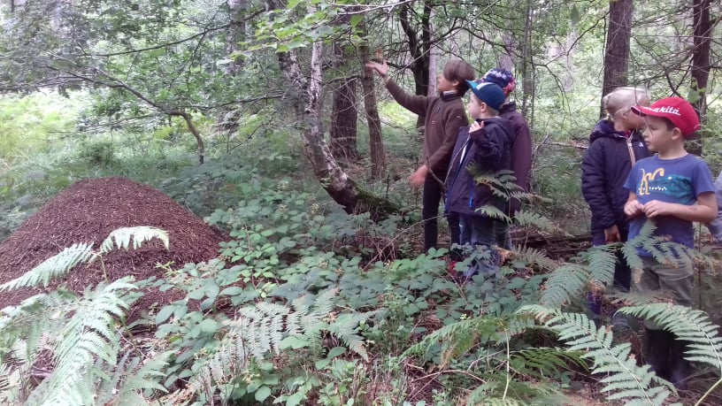 groupes scolaires et parascolaires